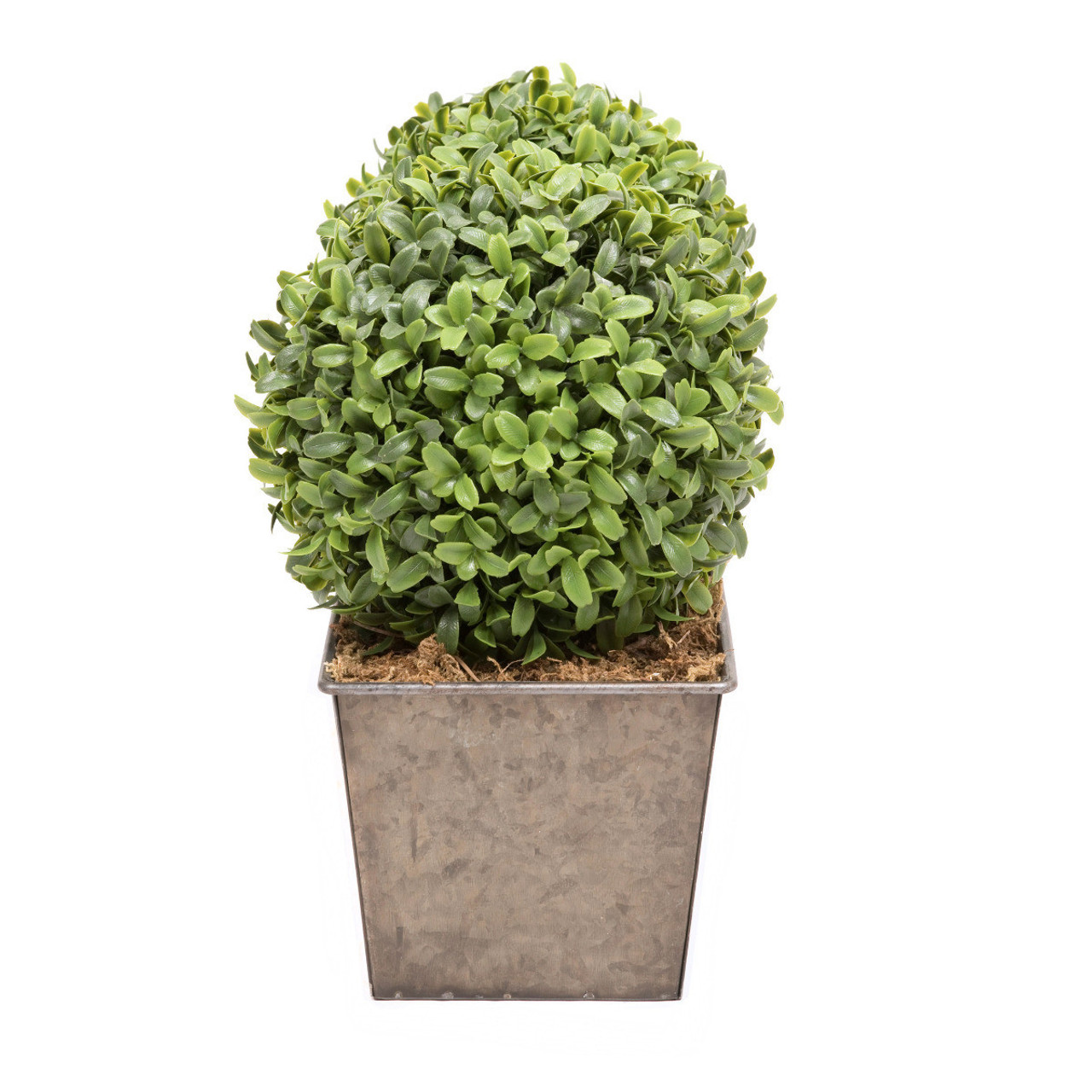 Artificial Topiary Aglaia Boxwood 35cm Window Box Tin Planter Double Ball Rustic