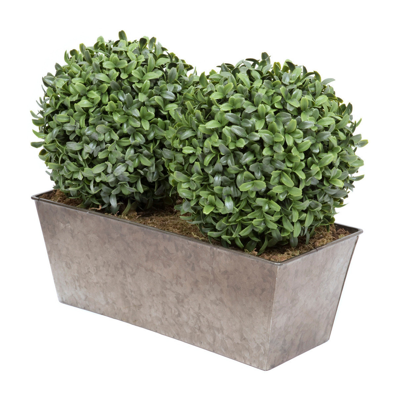 Artificial Topiary Aglaia Boxwood 35cm Window Box Tin Planter Double Ball Rustic