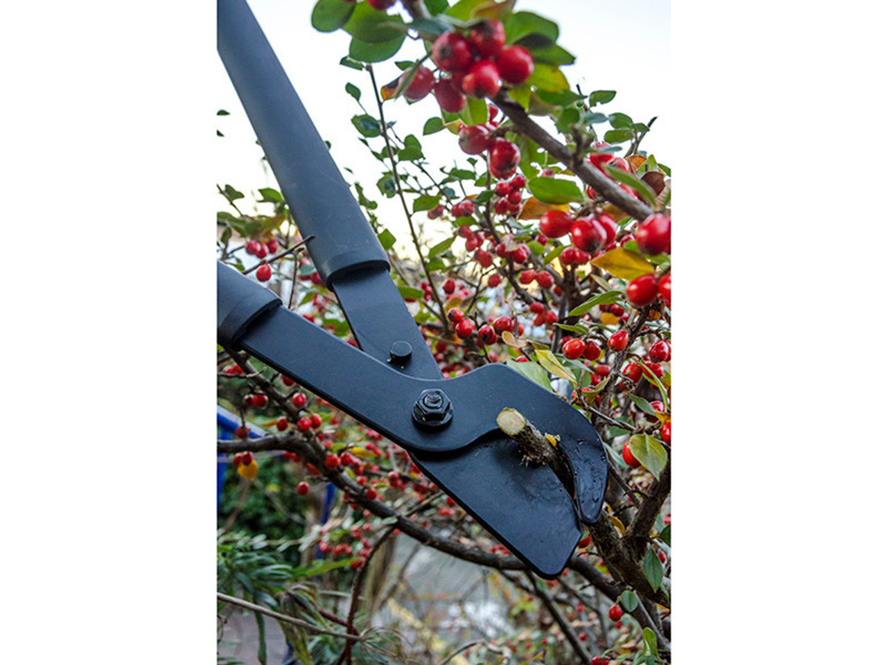Fiskars SingleStep Bypass Lopper Hook Head 816mm