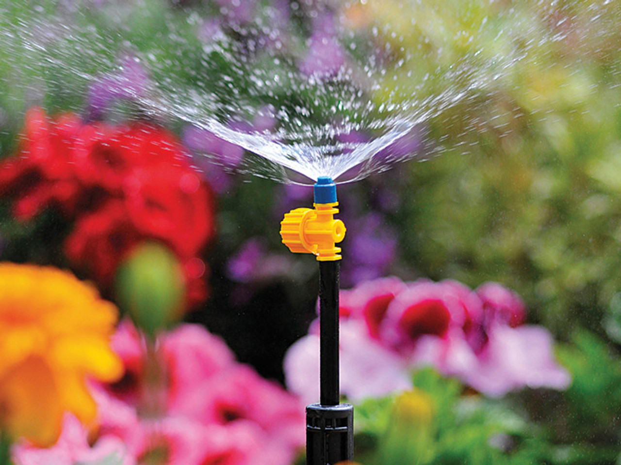 Hozelock 180 ¬¨‚àû Adjustable Micro Spray Jets (3 Pack)
