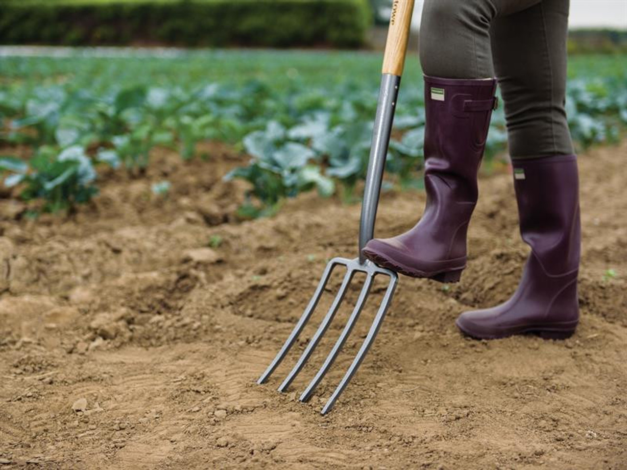 Kent & Stowe Carbon Steel Digging Fork, FSC