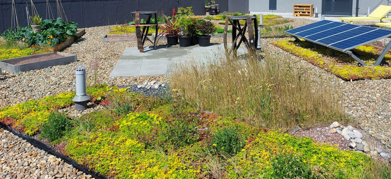 Green Roofs