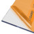 Axgard Clear 8mm UV Protect Polycarb 500 x 2000mm