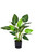 Artificial 78cm Real Touch Strelitzia Potted Plant