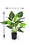 Artificial 78cm Real Touch Strelitzia Potted Plant