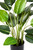 Artificial 78cm Real Touch Strelitzia Potted Plant