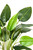 Artificial 78cm Real Touch Strelitzia Potted Plant