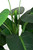 Artificial 130cm Real Touch Calla Lily Tree in Pot