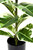 Artificial 98cm Real Touch Rubber Plant in Pot