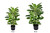 Artificial 98cm Real Touch Rubber Plant in Pot