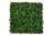 Artificial Green Wall Hedge with Mixed Leaf and Ivy Type Foliage Pack of 4