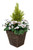 2 x Artificial Rattan Patio Planters with White Pansies and Cedar Conifer