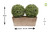 Artificial Topiary Aglaia Boxwood 35cm Window Box Tin Planter Double Ball Rustic