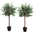 4ft Premium Quality Artificial Olive Standard Tree with Olives Set of 2