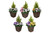 2 x Artificial Rattan Patio Planters with Yellow and White Pansies Cedar Conifer