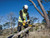DeWALT DCM565N XR Brushless Chainsaw 18V