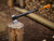 Fiskars XL-X25 Splitting Axe 2.4kg (5.2 lb)