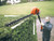 Black & Decker GTC1843L Cordless Pole Hedge Trimmer 18V 1 x 2.0Ah Li-ion