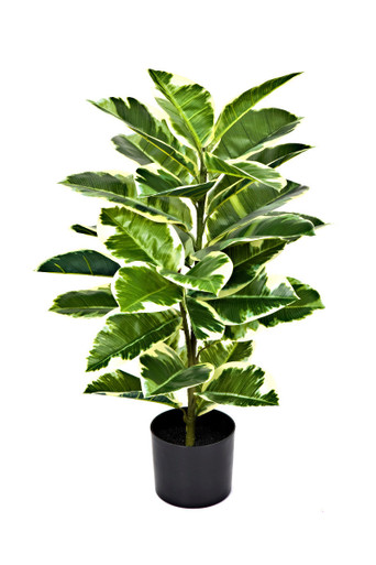 Artificial 75cm Real Touch Rubber Plant in Pot