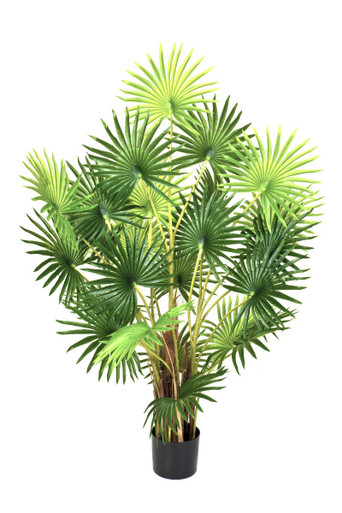 Artificial 120cm Finger Fan Palm Tree in Pot