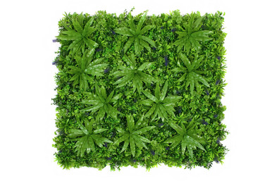 Artificial Premium Green Wall Hedge with Mixed Leaf Foliage 1m x 1m