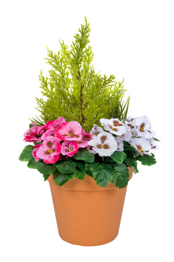 Terracotta Artificial Plastic Patio Planter Dark Pink and White Pansies and Cedar Topiary