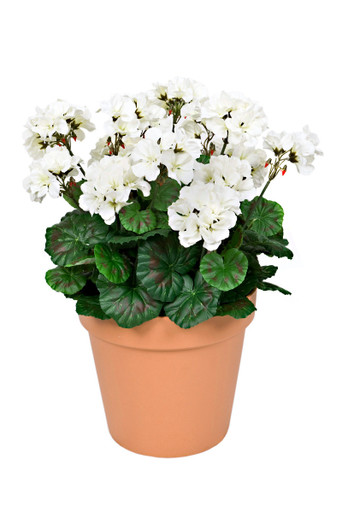 Terracotta Artificial Plastic Patio Planter White Geraniums