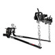 Eaz-Lift Elite Weight Distribution Hitch Kit with Adjustable Shank - 600 lb.