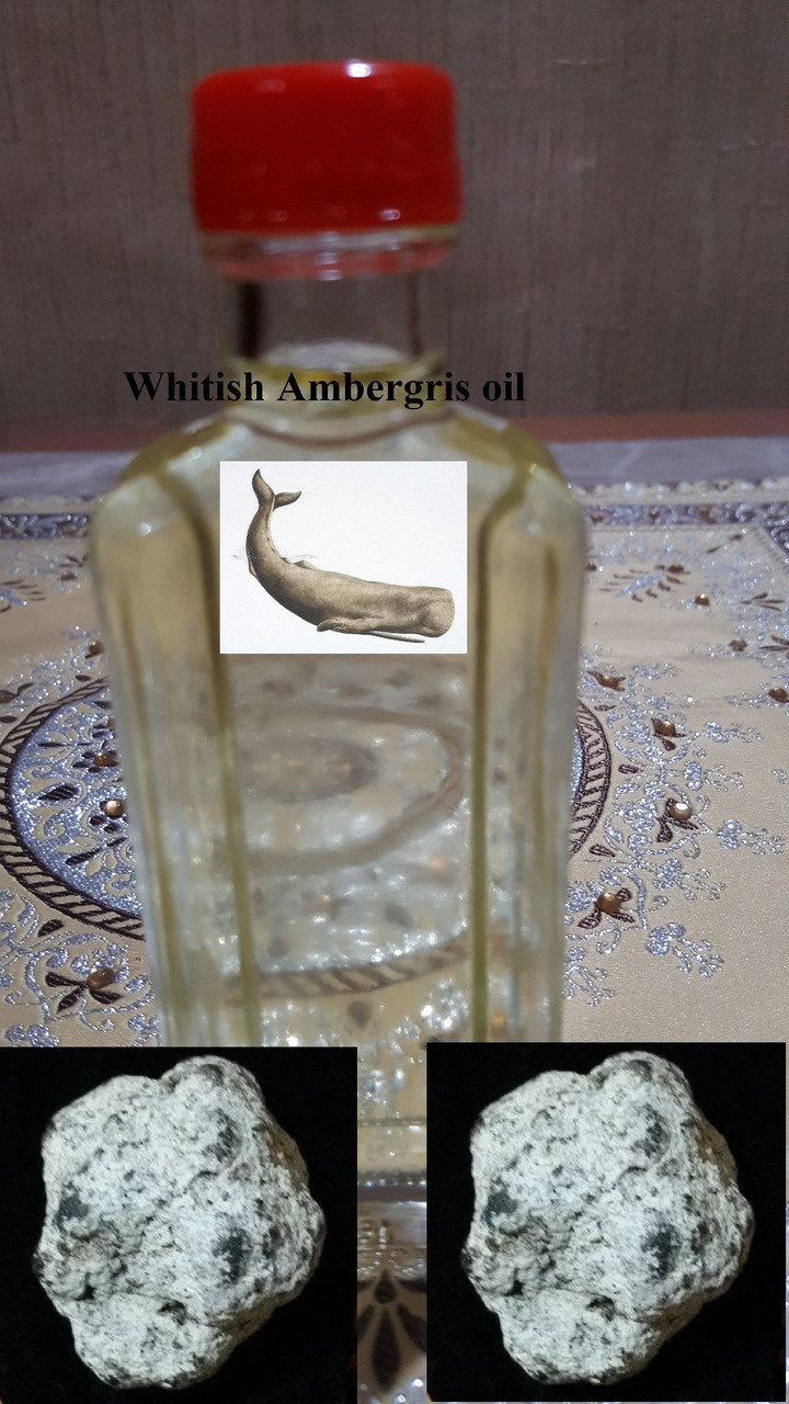 Amber/Ambergris Pure Perfume Oil 