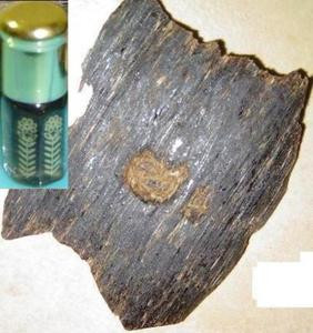 Aged Dark Aloeswood/Agarwood/Oud Irian Jaya oil 3cc