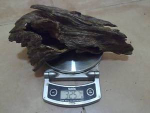 Agarwood/Aloeswood Oud, South Thailand 325 grams