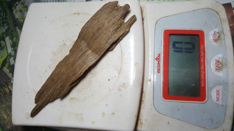 Agarwood/Aloeswood Oud chips, W Kalimantan 10 grams..