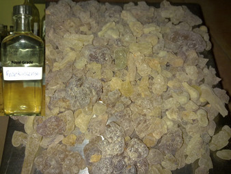Royal Frankincense oil (Hojari) from Oman 6cc - #04072019