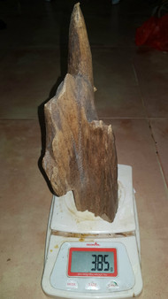 Agarwood/Aloeswood/Oud  showpiece from  high mountain in Far Eastern Indonesia 385grams