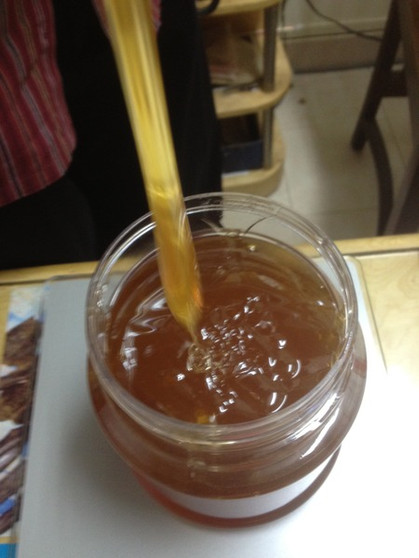 Pure Yemeni's Winter Honey 283 grams/10 oz