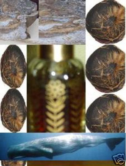 MuskAmber oil fragrance-non alcoholic (100cc) batch 01052025