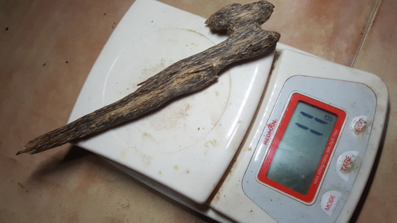 Agarwood/Aloeswood/Oud chips, Assam India Super 11g - excellent for burning/display piece.