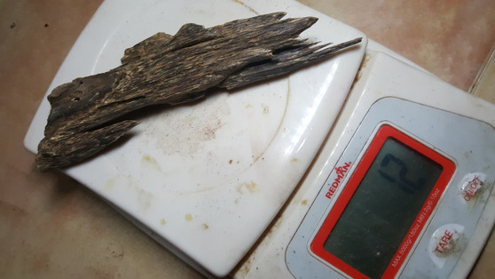 Agarwood/Aloeswood/Oud chips, Assam India Super 12g - excellent for burning/display piece... Agarwood/Aloeswood/Oud chips, Assam India Super 12g - excellent for burning/display piece...