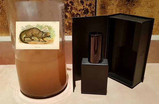 Sale: 30 ml of Civet's Cat Musk Gland from Ethiopia eau de toilette