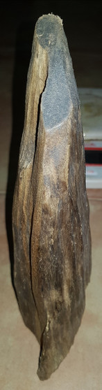 Agarwood/Aloeswood/Oud  showpiece from  high mountain in Far Eastern Indonesia 330grams