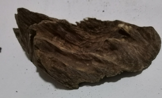 Agarwood/Aloeswood Oud chips, Burma 1 piece 19 grams waterfall wall