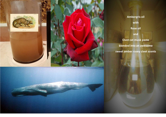 Attar Amber Rose Civet fragrance-non alcoholic (12cc) batch 11102020