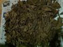 Agarwood/Aloeswood/Oud chips, Burmese medium chips 10g