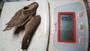 Agarwood/Aloeswood Oud chips, Brunei 8 grams..