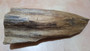 Agarwood/Aloeswood/Oud  showpiece from  high mountain in Far Eastern Indonesia 330grams