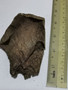 Agarwood/Aloeswood Oud chips, Burma 1 piece 15 grams Mushroom