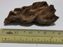 Agarwood/Aloeswood Oud chips, Burma 1 piece 19 grams waterfall wall