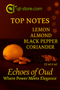 QT Echoes of Oud - Where Power Meets Elegance (Non-Alcoholic) 12ml (In Golden Bottle)