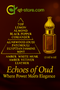 QT Echoes of Oud - Where Power Meets Elegance (Non-Alcoholic) 6ml (In Golden Bottle)