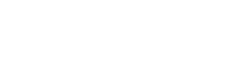 Bravo Company USA Logo